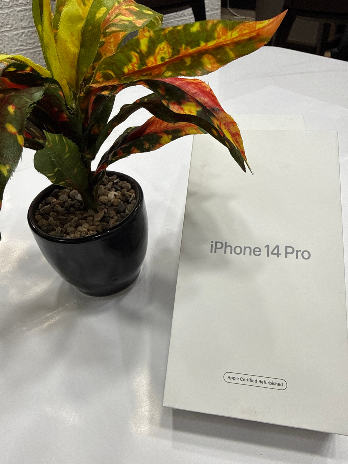 iPhone 14 Pro 256 GB Silver