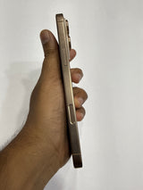 iPhone 16 Pro Max (Desert Titanium, Pre-loved)