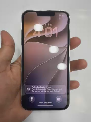 iPhone 13 Pro 256 GB Silver